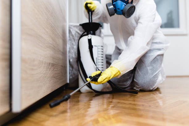 Best Termite Control Services  in Richmond, TX