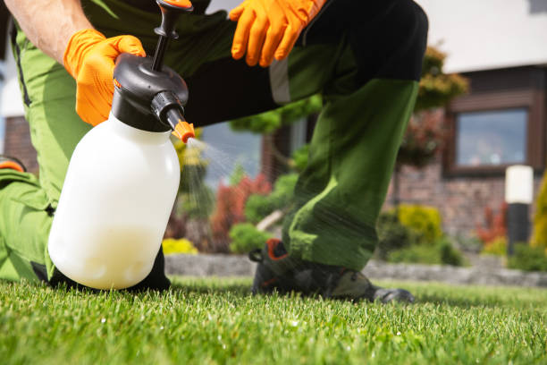 Reliable Richmond, TX Pest Control Solutions
