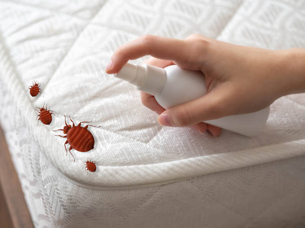 Best Pest Control Near Me in Richmond, TX