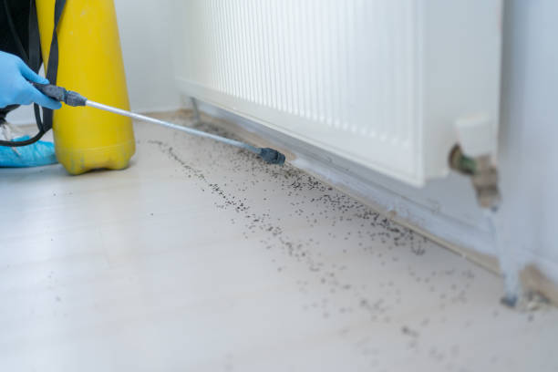 Best Wildlife Control Services  in Richmond, TX