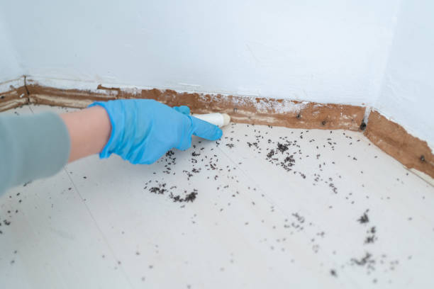 Best Pest Prevention Services  in Richmond, TX